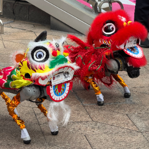 used Unitree machine dogs