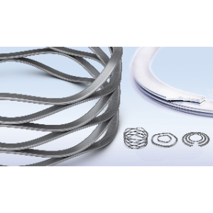 Wave Spring&Snap Ring