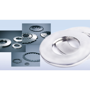 Disc Spring