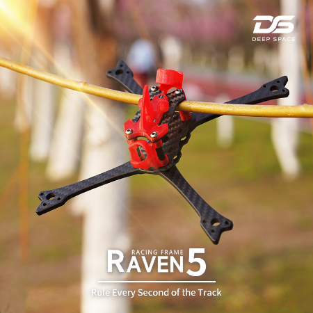 Raven 5 inch racing frame