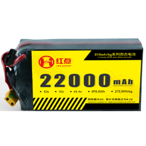 22Ah12S-310wh/kg Battery