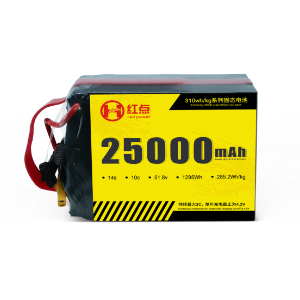 25Ah14S-310wh/kg Battery