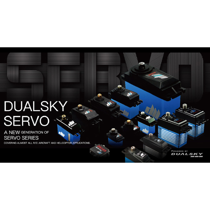 DUALSKY SERVO