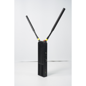 Self-organizing network handheld terminal