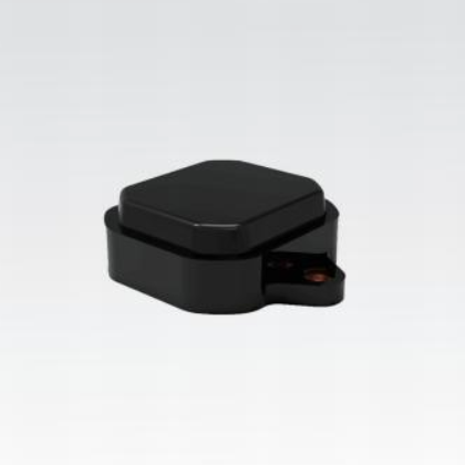 Remote Identification System