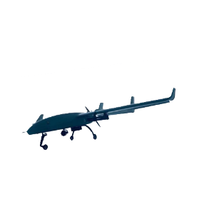 Inspection and Strike Integrated Drone