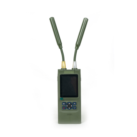 Handheld detection device