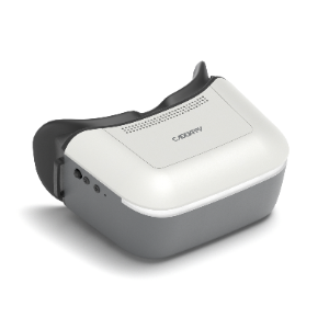 Ascent Goggles