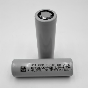 Molicel INR21700-P45B