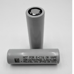 Molicel INR21700-P42A