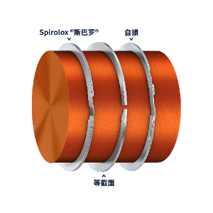 Retaining Ring