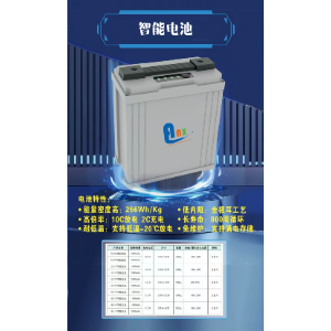 14S Smart battery