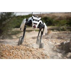 HypertronT01-  Wheel-Legged Robot