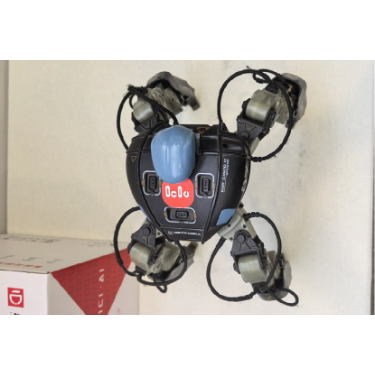Quadruped Robot