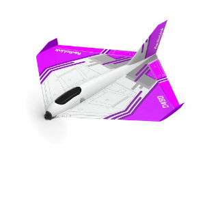 Scale Model Airplane with 30 Minutes Flight Time D460 