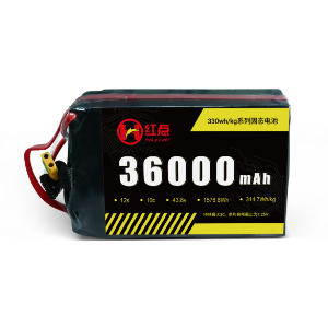 36Ah12S-330wh/kg Battery