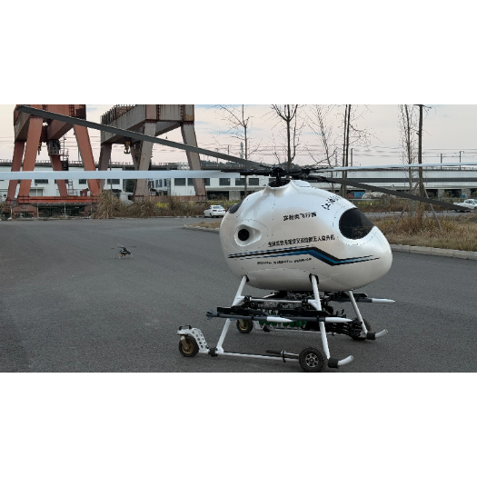 X600 Tailless Cross-Axis Dual-Rotor Unmanned Helicopter