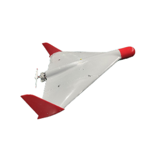 Mosquito delta wing unmanned aerial vehicle